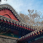 the bloom youth of ancient drinks